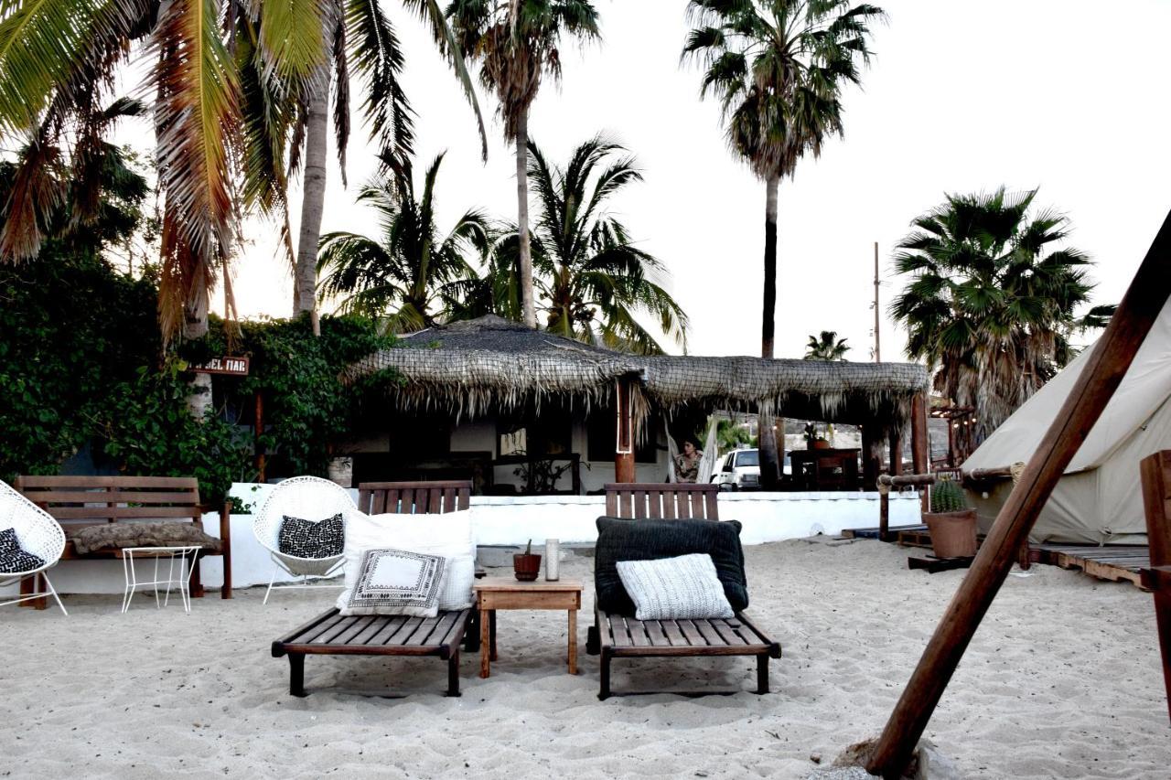 Rustico Lounge - Property In Front Of The Beach San José del Cabo Exteriér fotografie