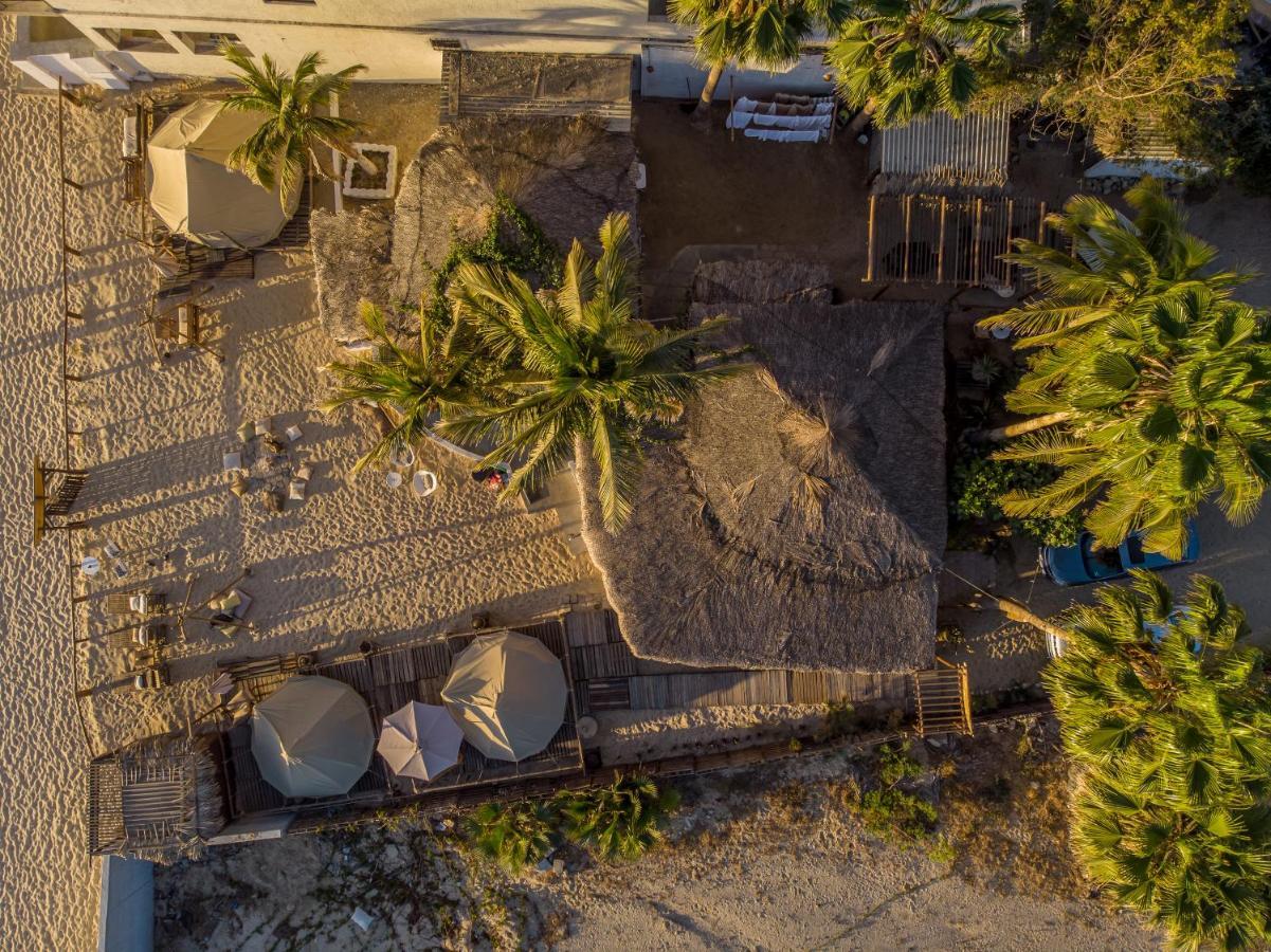 Rustico Lounge - Property In Front Of The Beach San José del Cabo Exteriér fotografie