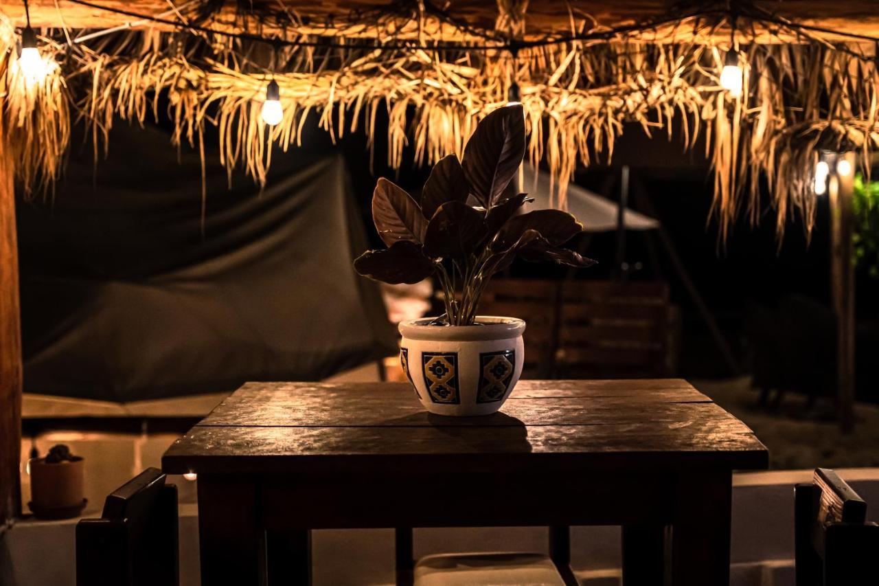 Rustico Lounge - Property In Front Of The Beach San José del Cabo Exteriér fotografie