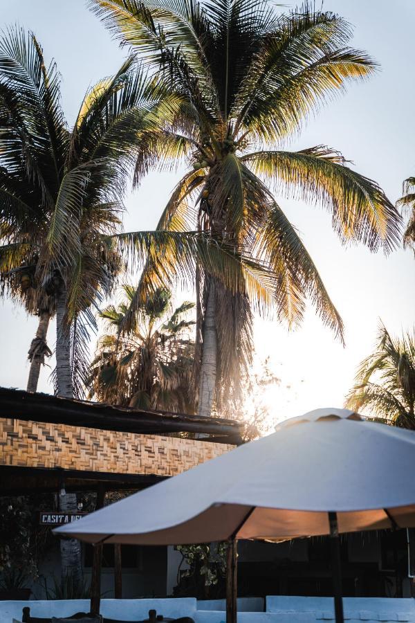 Rustico Lounge - Property In Front Of The Beach San José del Cabo Exteriér fotografie