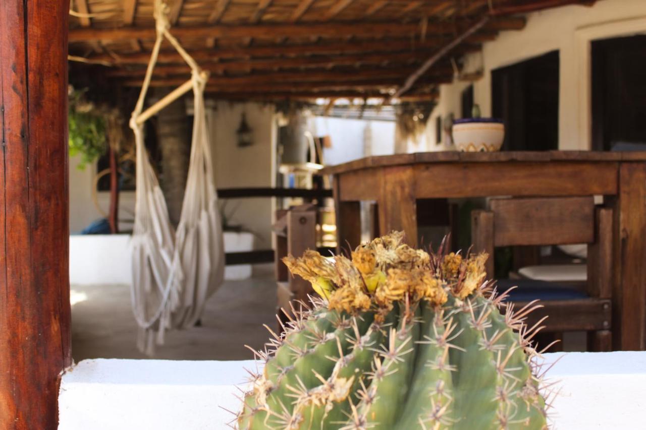 Rustico Lounge - Property In Front Of The Beach San José del Cabo Exteriér fotografie